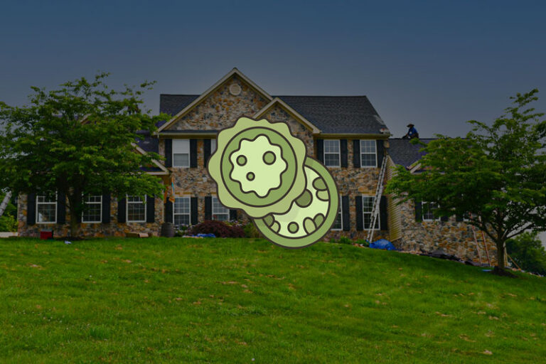 Copper Strips for Roof Moss Preventing / Protecting RNC Roofing and Construction Group The