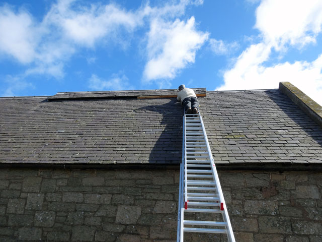 Steps to Replace a Roof | Guide to Successful Roof Replacement