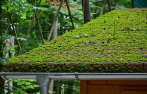 Delaying Roof Repairs or Replacement Can Cause Extreme Consequences