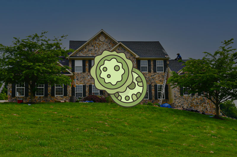 Algae Shingles: Eco-Friendly Roofing Solution