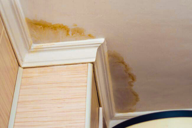 Fix Leaky Roof | Preventive Measures, Identification, and Repairs